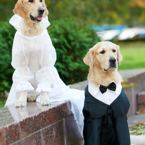 Clothing and Accessories