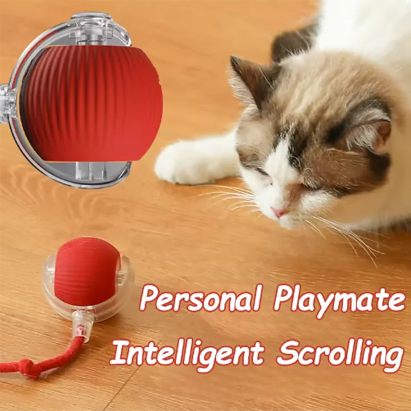 Hot cat toys are automatically teasing cat sticks and ticks and resistant to wear and bite pet toys
