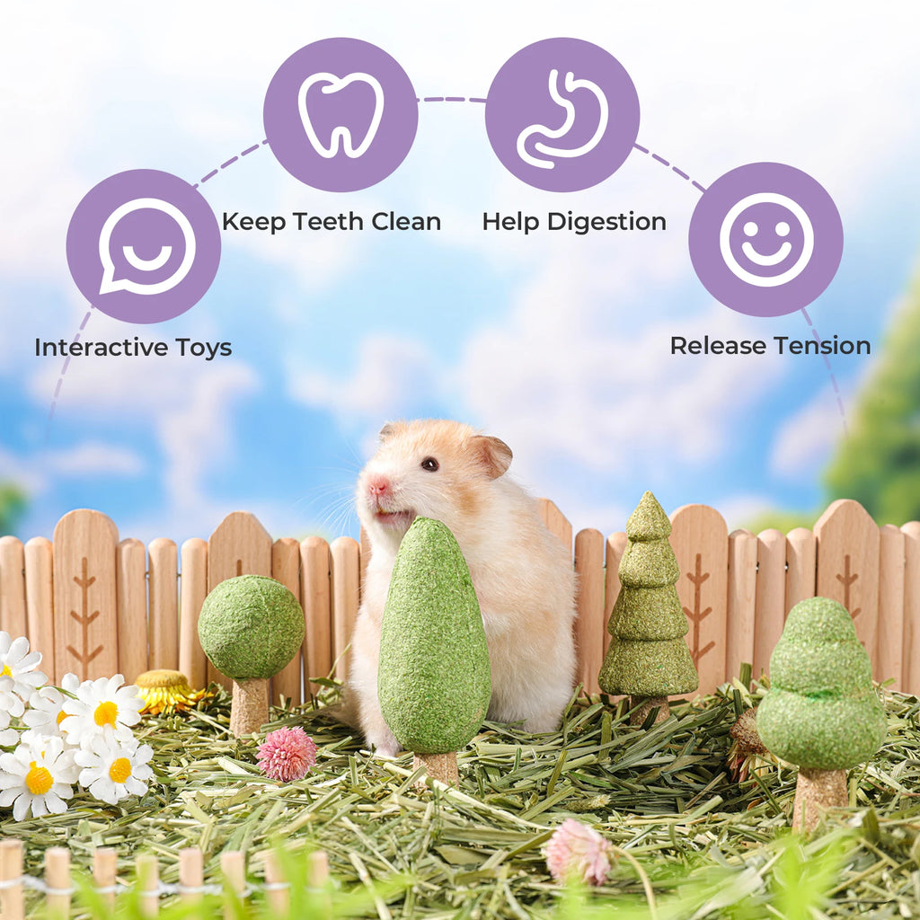 Natural Edible  Treats, Small Pet Dental Health