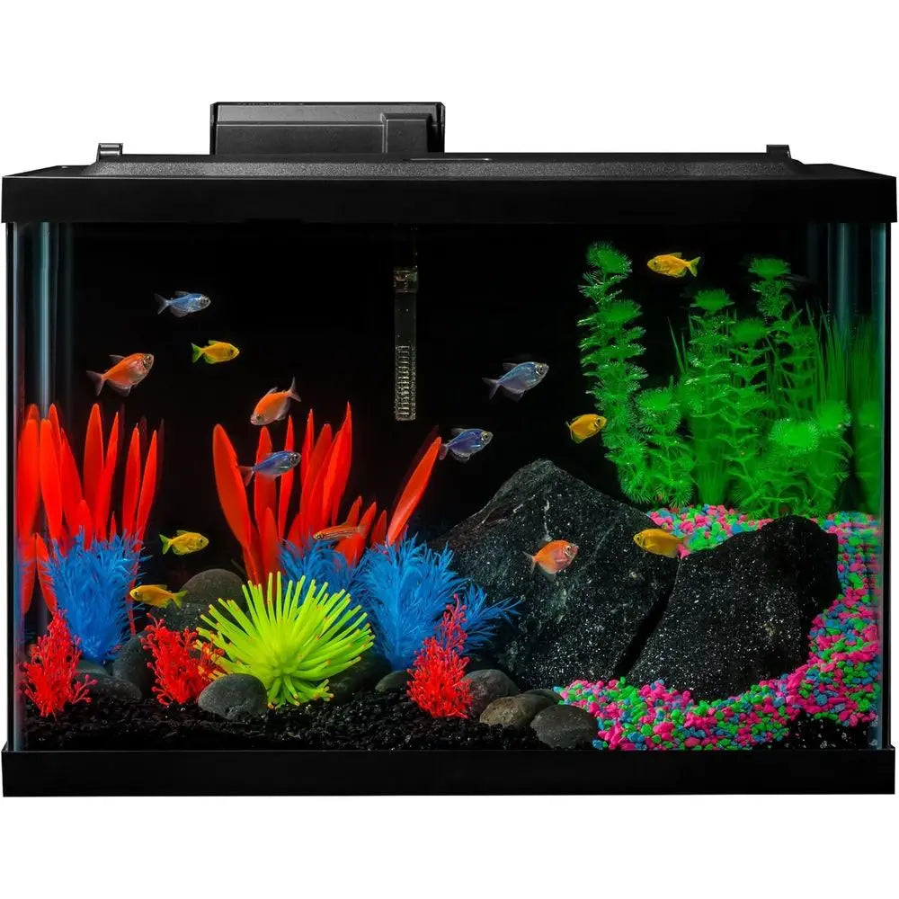 20 Gallon Aquarium Kit with LED Lights, Decor, Heater, and Filter