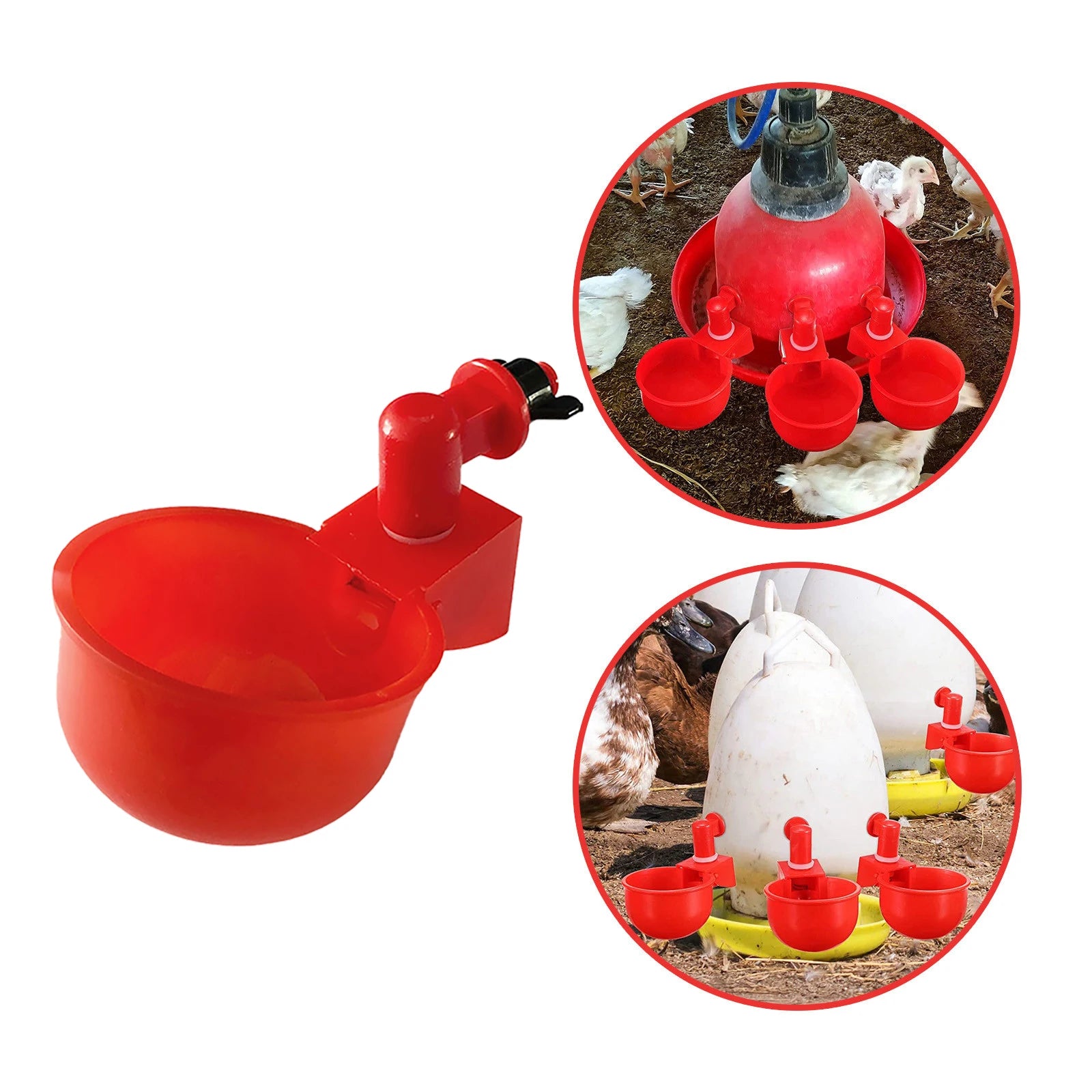 36-1PCS Chicken Drinking Cup Automatic Drinker Chicken Feeder Poultry Waterer Drinking Water