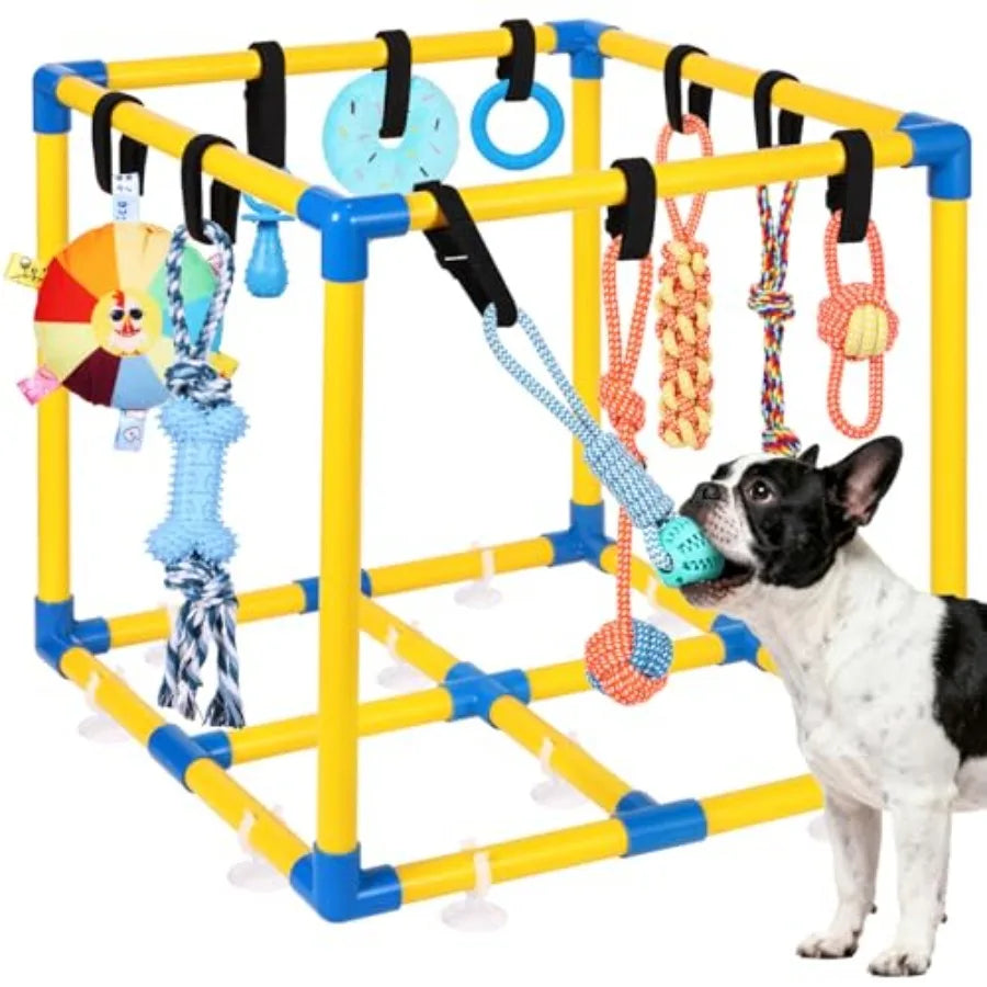 Puppy Play Gym for Small Dogs with 10 Hanging Toys Removable Indoor Jungle Gym PVC Frame with Adjustable Bungee Straps