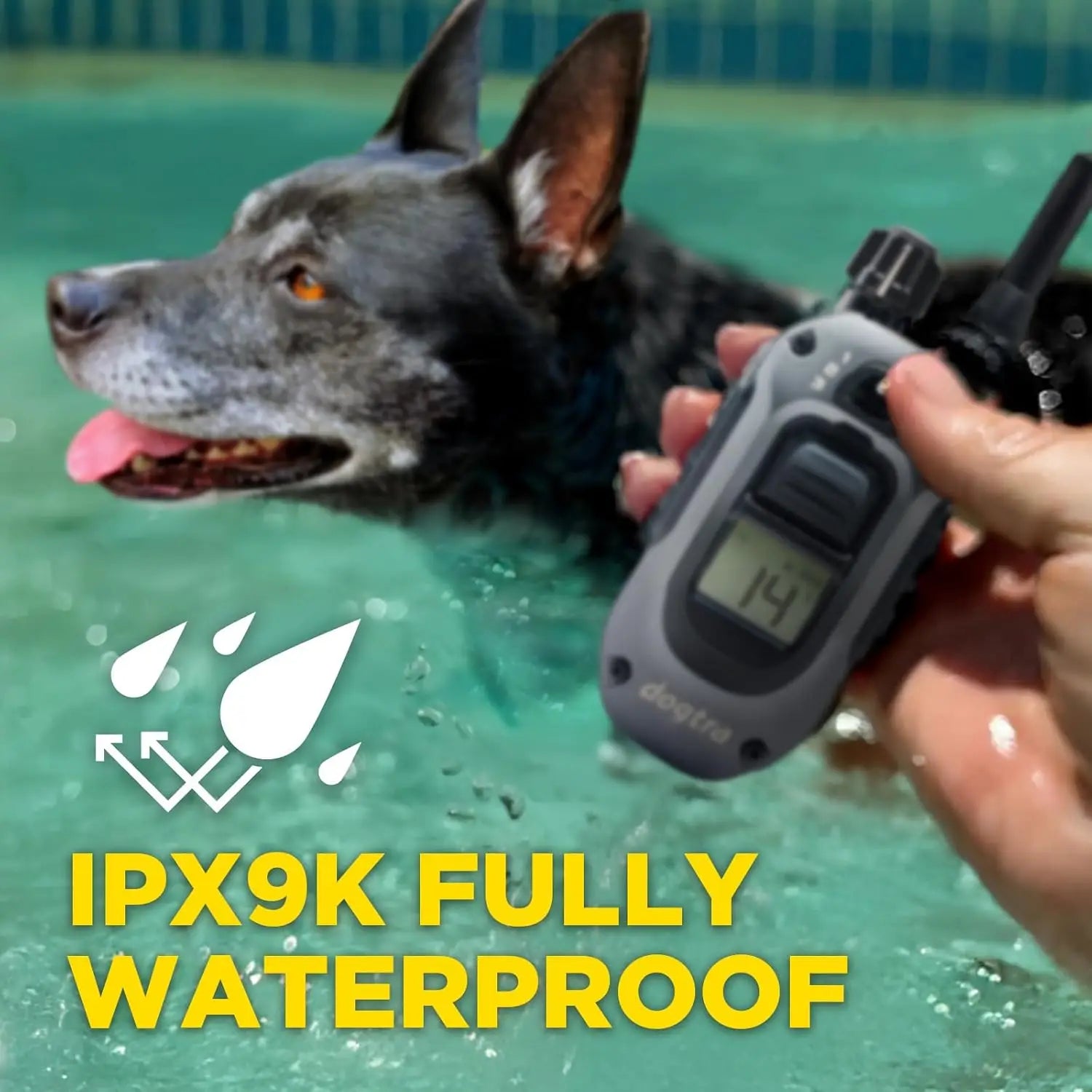 Remote Training Collar with LED Light, Waterproof, 1/2 Mile Range, 100 Levels for Stubborn Dogs