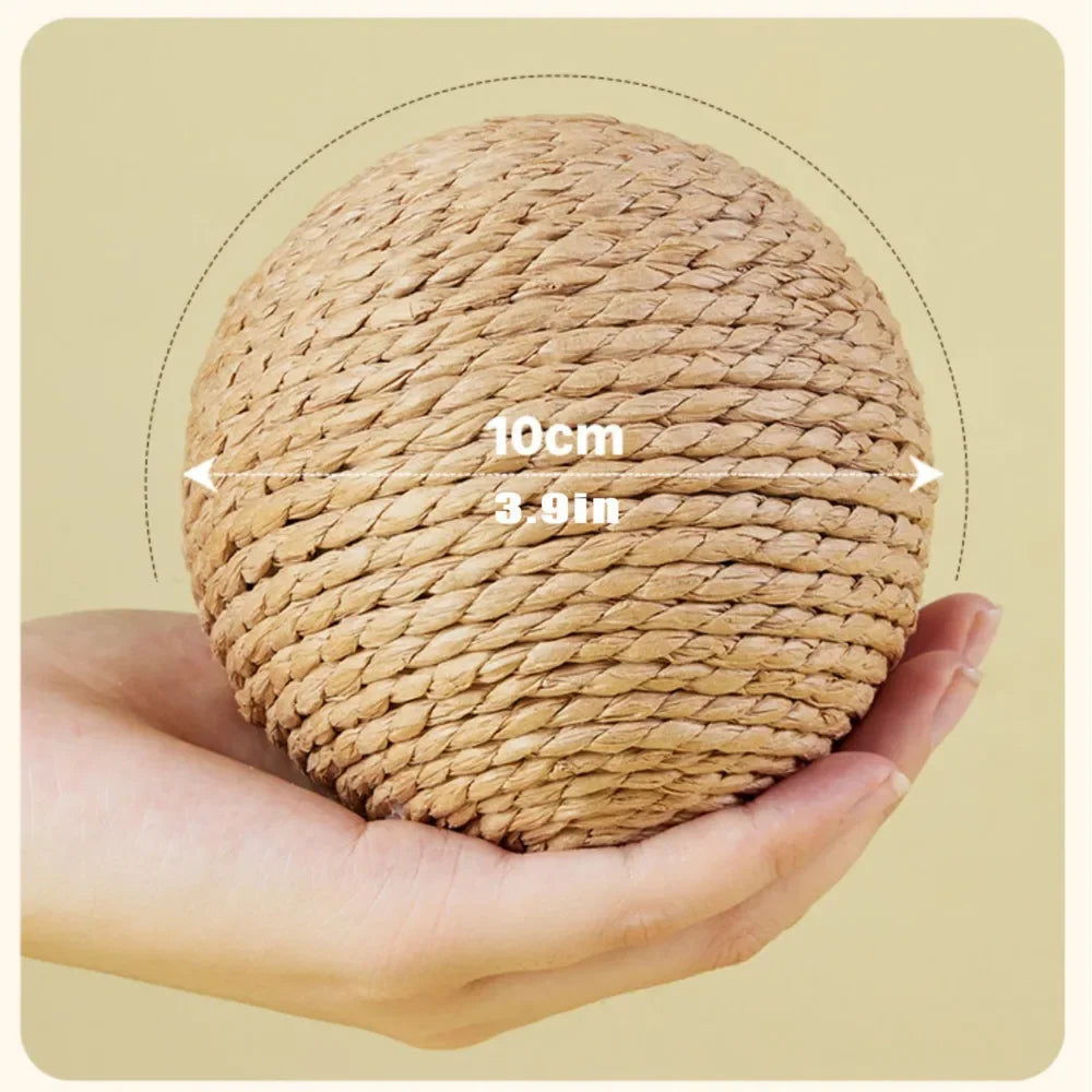 Interactive Toy For Kitten Teeth Cleaning Anti Bite 10CM Super Big Cat Ball Sounding