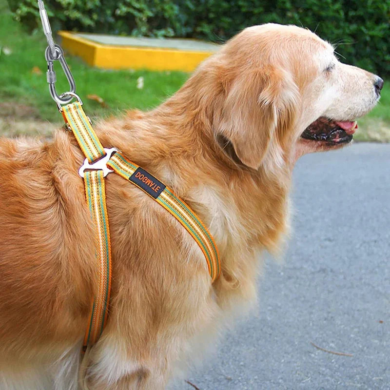 Double-headed Dog Tie Out Cable Leash with metal buckle steel wire anti-rust training