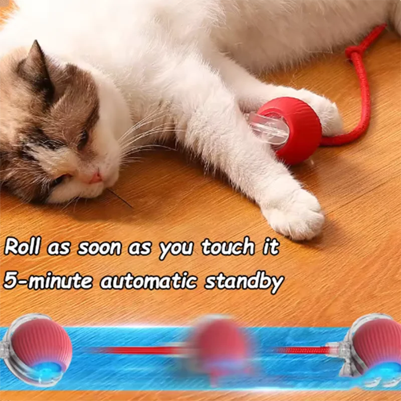 Hot cat toys are automatically teasing cat sticks and ticks and resistant to wear and bite pet toys