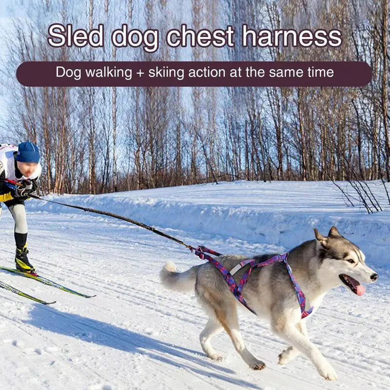 Pulling Harness For Dogs Puppy Harness Adjustable Reflective Dog Harness