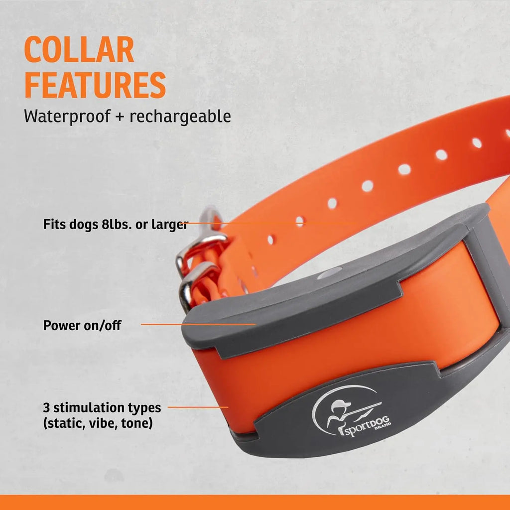 Waterproof Rechargeable Dog Training Collar for Multi-Dog Households