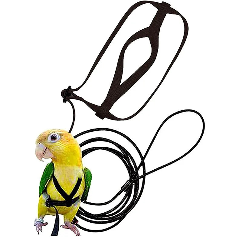 Parrot Bird Harness Leash Outdoor Activities Flying Traction Straps Band Flying Rope