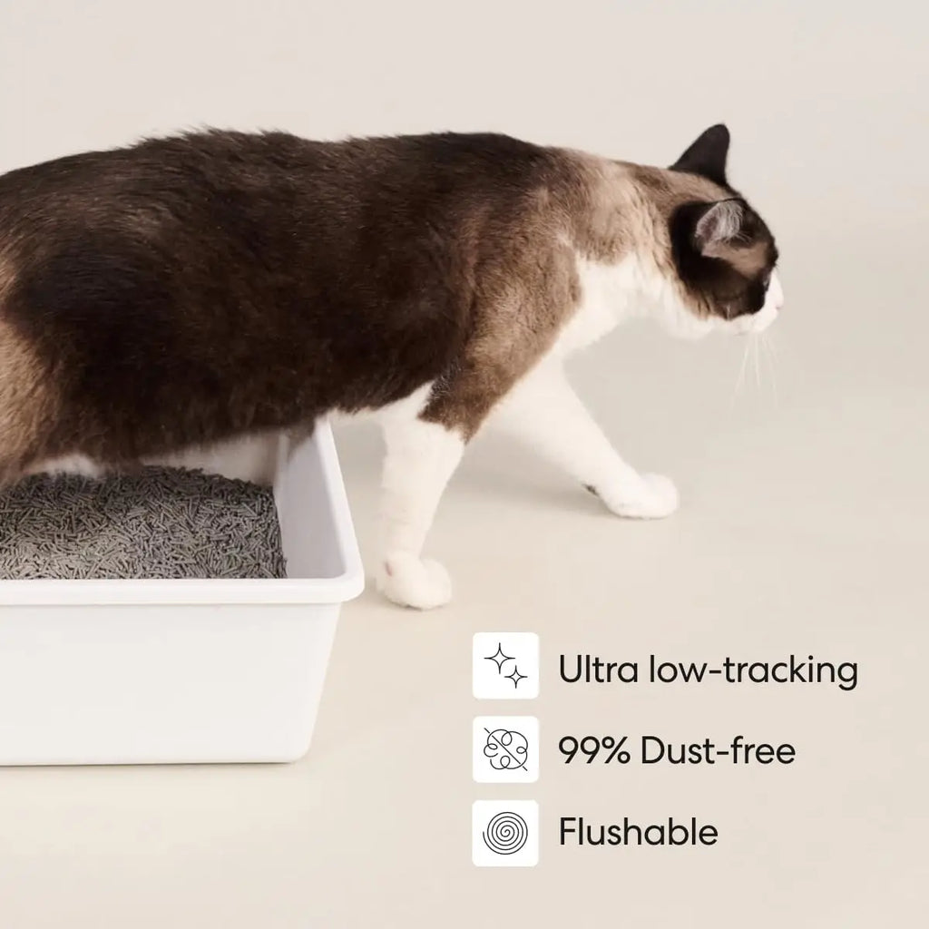 Tofu Cat Litter, Clumping, Flushable, Odor Control, Dust-Free - 9.25lbs x 2 Bags (Natural Lavender)