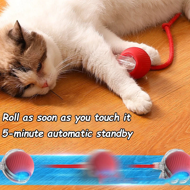 2Pcs Cat Interactive Ball Toys Automatic Rolling Ball Faux Tail Rechargeable Smart Pet Electric Toy