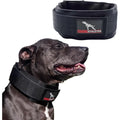 3 Elite-HD Weighted Working Dog Collar 3LB Black Designed Training and Behavioral Conditioning