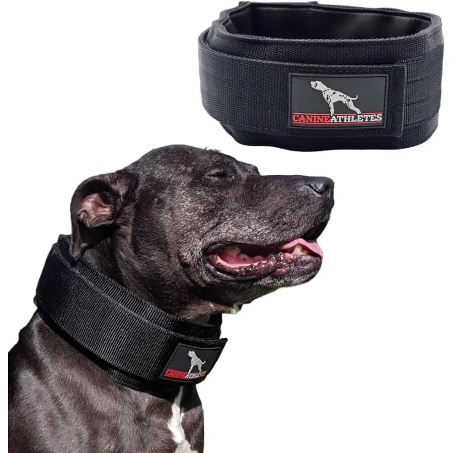 3 Elite-HD Weighted Working Dog Collar 3LB Black Designed Training and Behavioral Conditioning