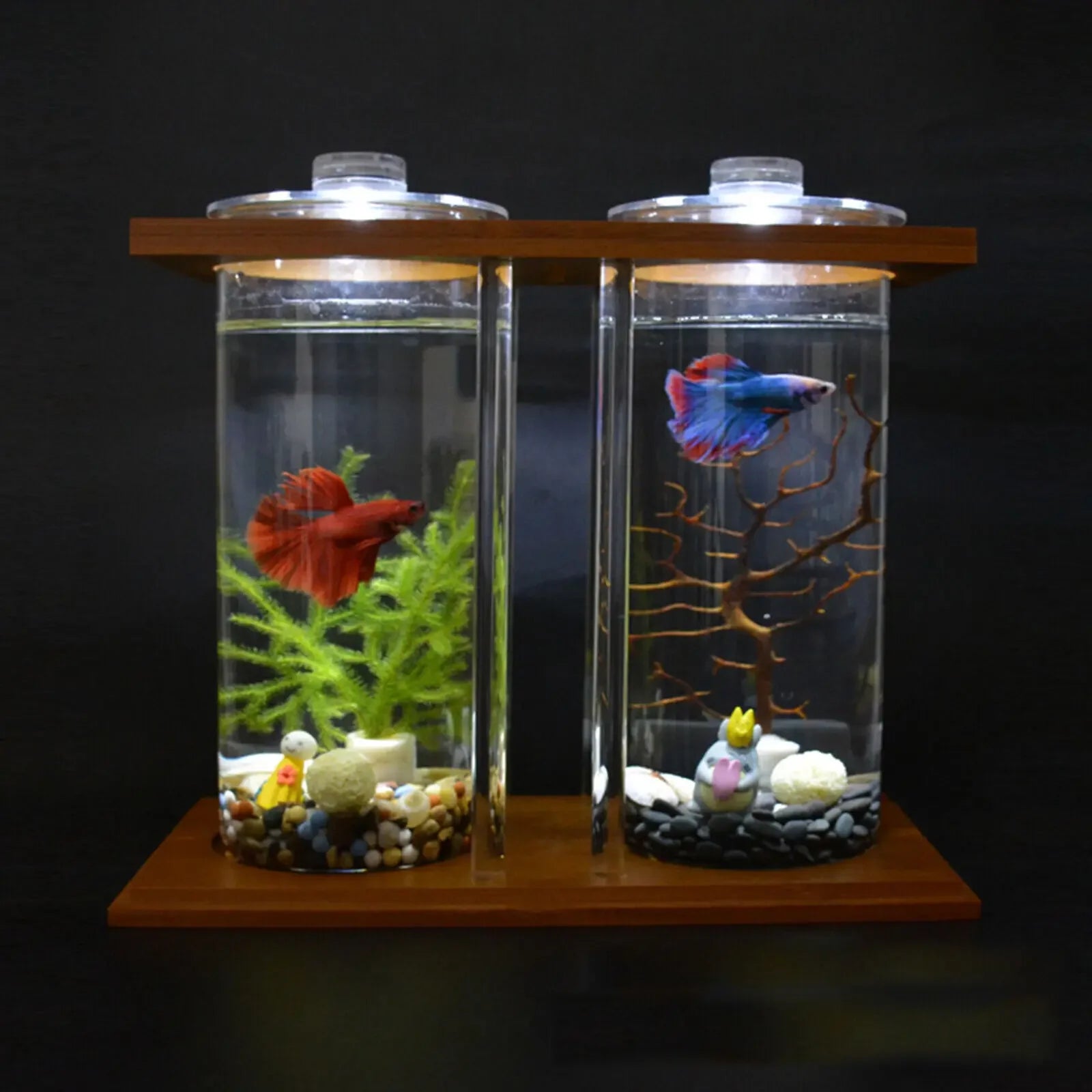 Glass Betta Fish Tank with LED Light Bamboo Base Mini Aquarium Set for Desktop Home Office Decoration 2 Tanks