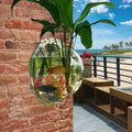 Aquariums Pack Wall Hanging Glass - Self-Watering Hydroponic Planter for Home Office Decor, Handmade Round Crystal Vase