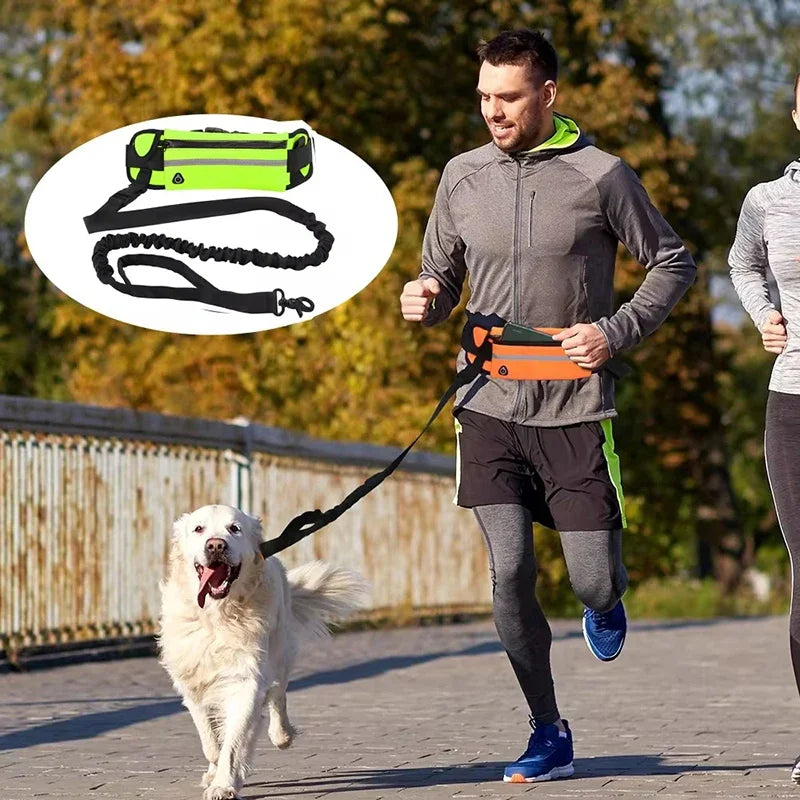 Hands Free Dog Leash for Running Walking Reflective Leash with Waist Bag Retractable Elastic Belt Dog Traction Rope