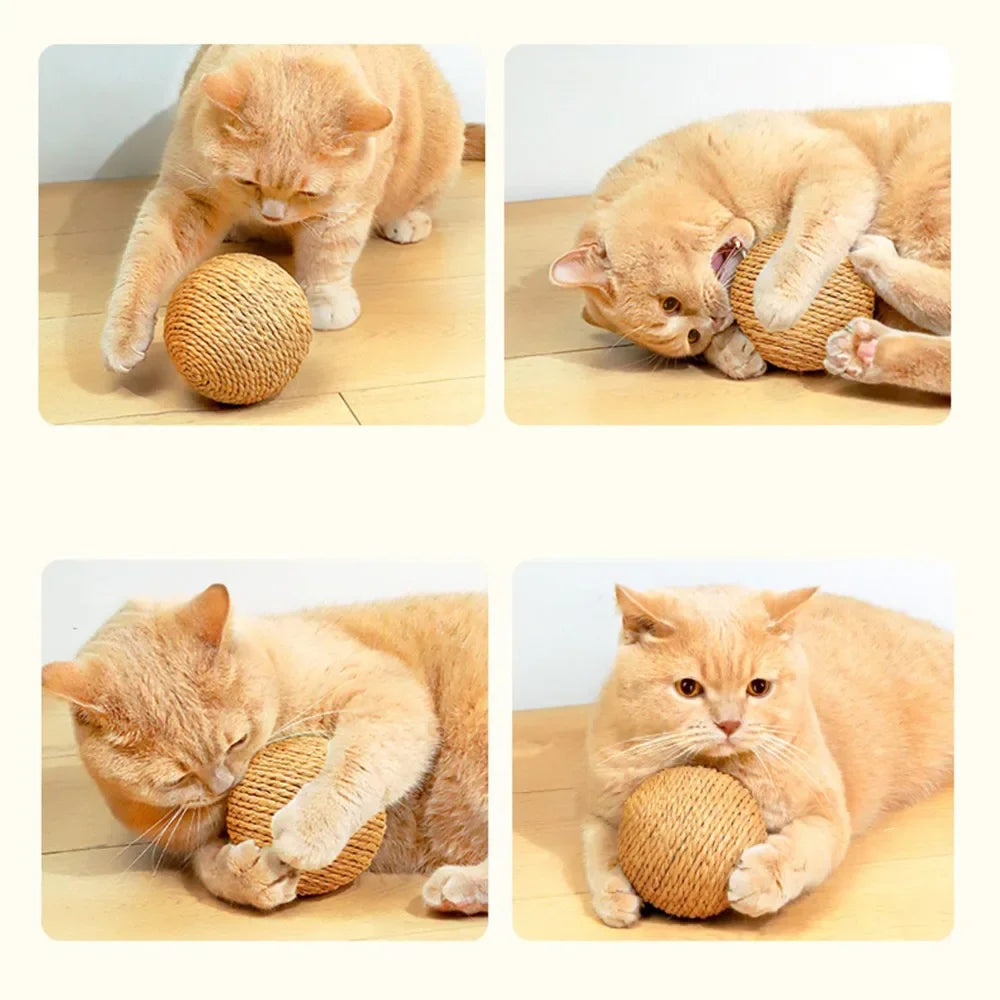 Interactive Toy For Kitten Teeth Cleaning Anti Bite 10CM Super Big Cat Ball Sounding