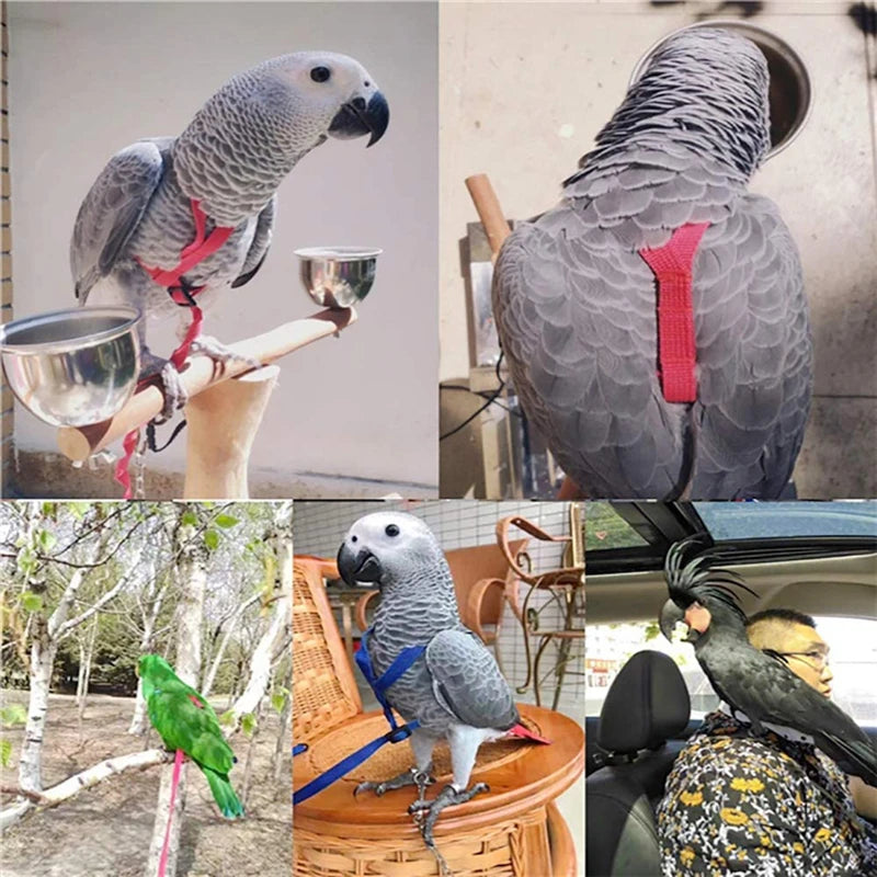 Parrot Bird Harness Leash Outdoor Activities Flying Traction Straps Band Flying Rope