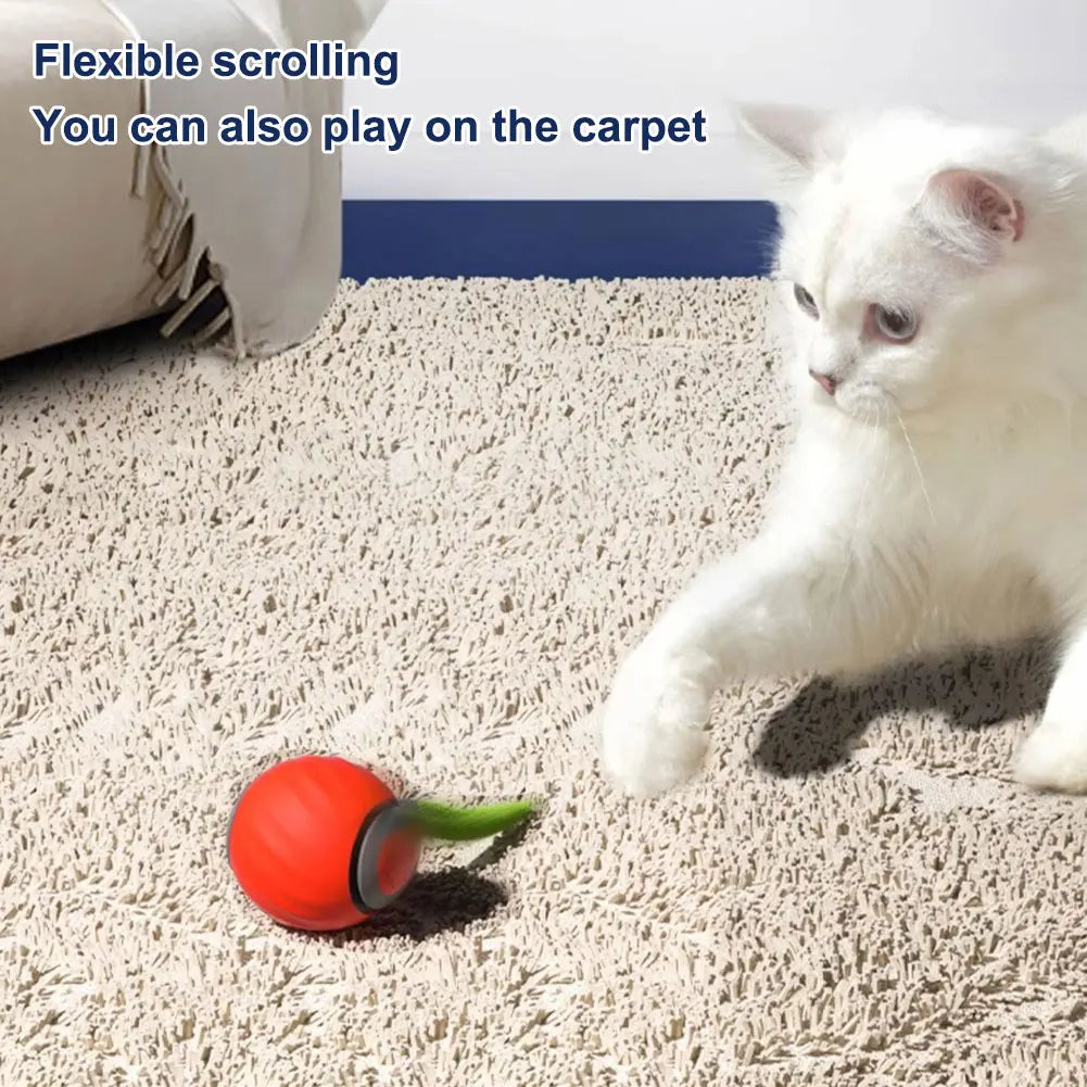 Automatic Moving Cat Toy Ball Two Speed Adjustment Speedy Tail Cat Toy with Replacement Tail