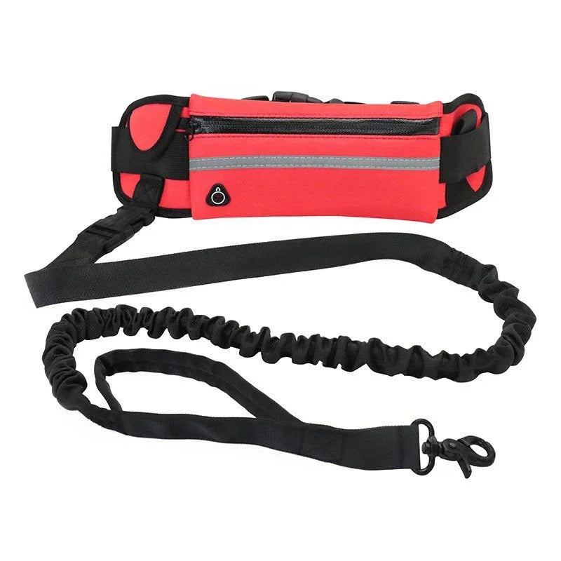 Hands Free Dog Leash for Running Walking Reflective Leash with Waist Bag Retractable Elastic Belt Dog Traction Rope