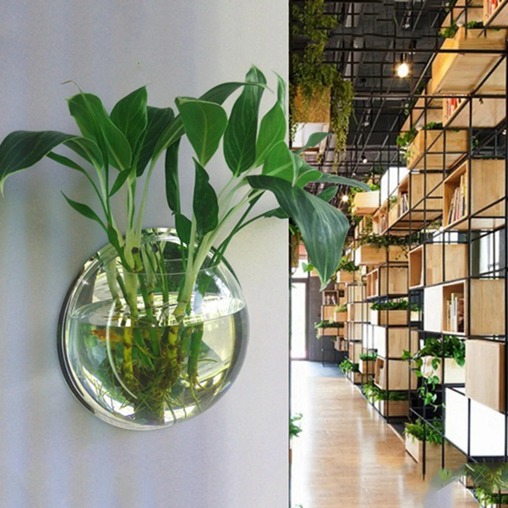 Wall Mount Fish Tanks Goldfish Bowl Acrylic Hanging Aquariums Flowerpot Flower Vase 15/23CM