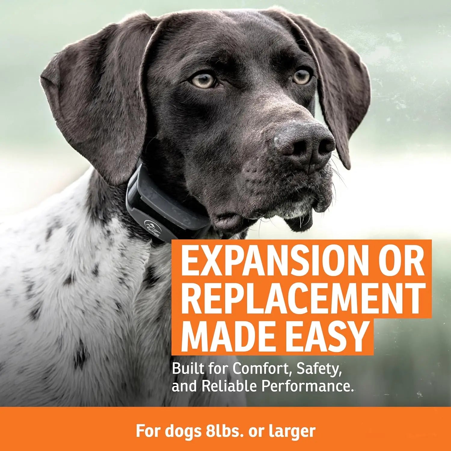 Waterproof Rechargeable Dog Training Collar for Multi-Dog Households