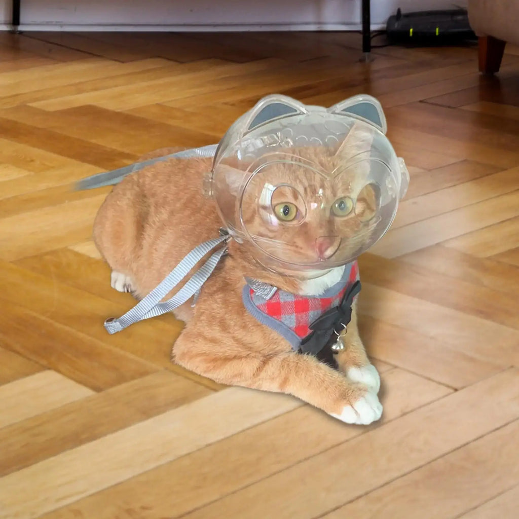 Transparent Cat Muzzle Anti Bite Silicone Mouth Cover Grooming Helper