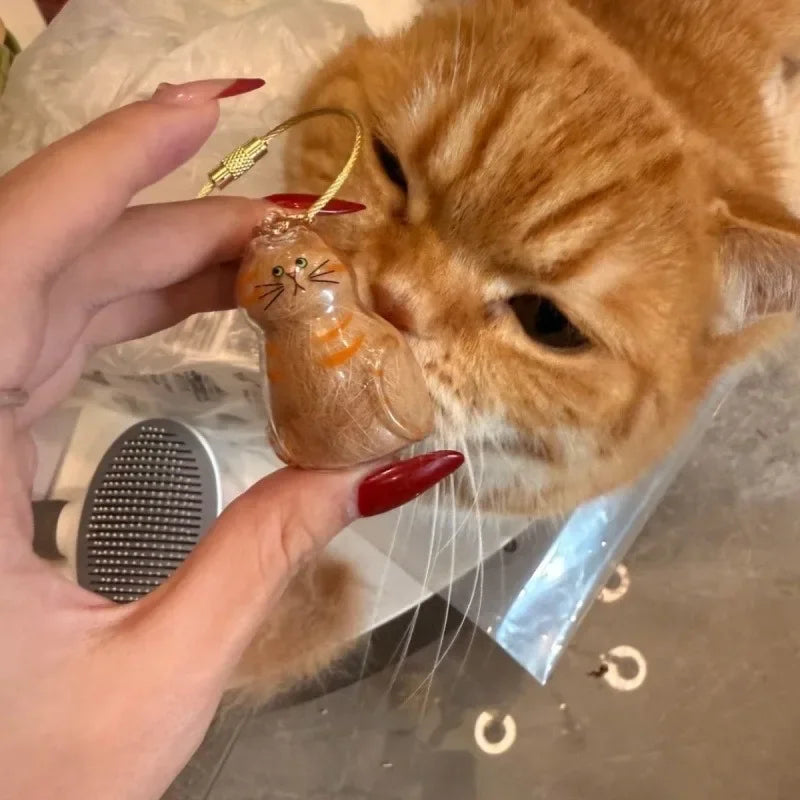 Transparent Cat Hair Storage Pet Fur Keepsake Capsule for DIY Crafts