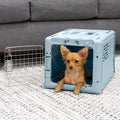 Collapsible X-Small Pet Travel Carrier (Blue), Puppies, Cats, Kittens, Animals up to 20lbs, Wa