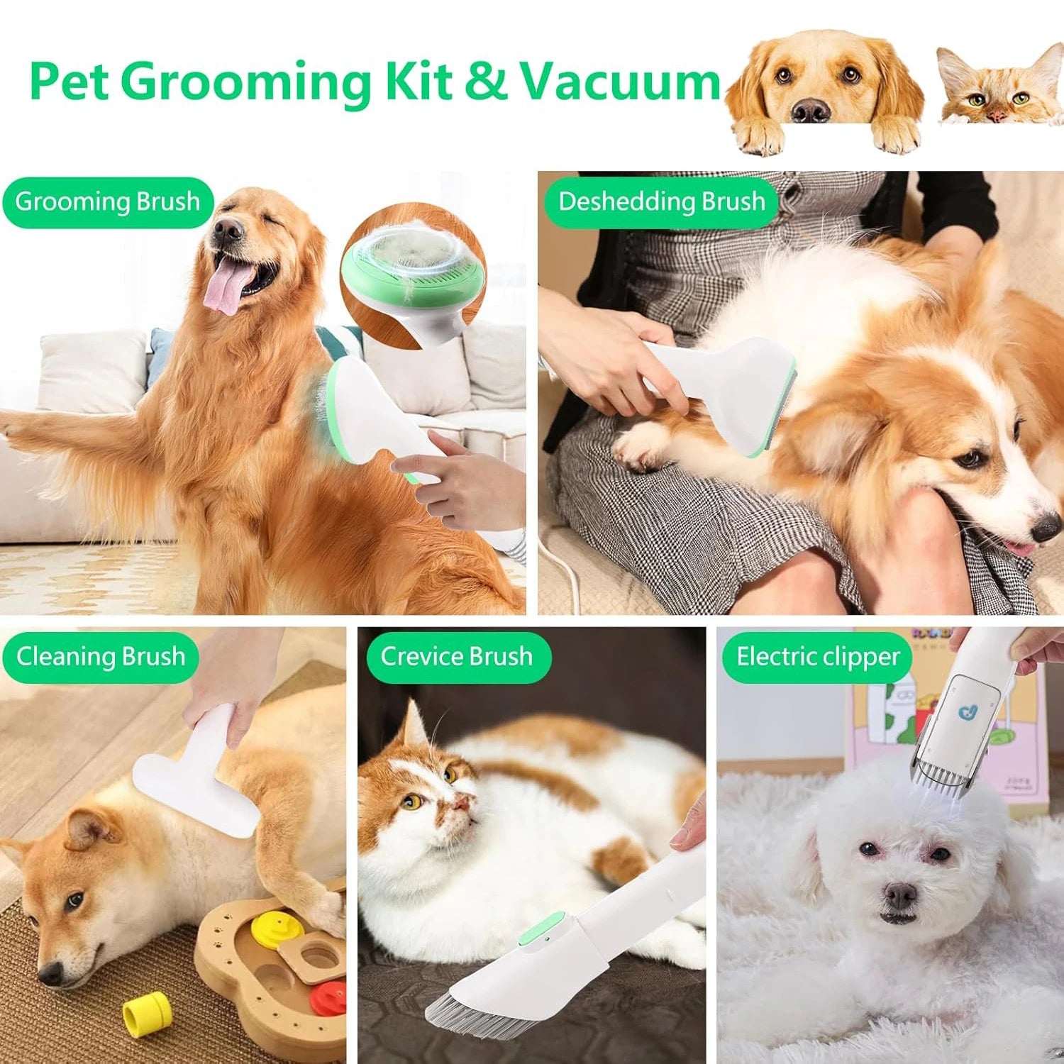 2L Vacuum Suction 99% Pet Hair, Professional Quiet Dog Grooming Vacuum Kit with 5 Grooming Tools