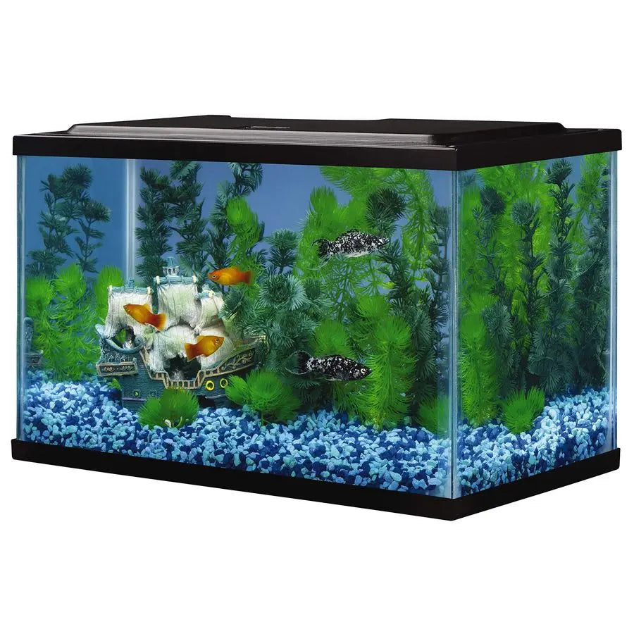 Glass Aquarium 5.5 Gallons, Rectangular Fish Tank