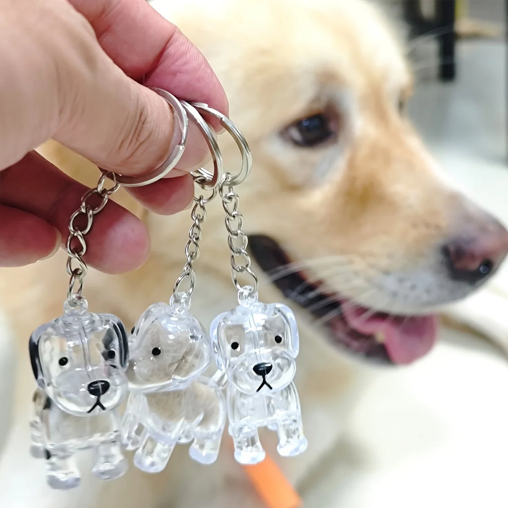 Transparent Dog Hair Storage Container Memorial Keychain