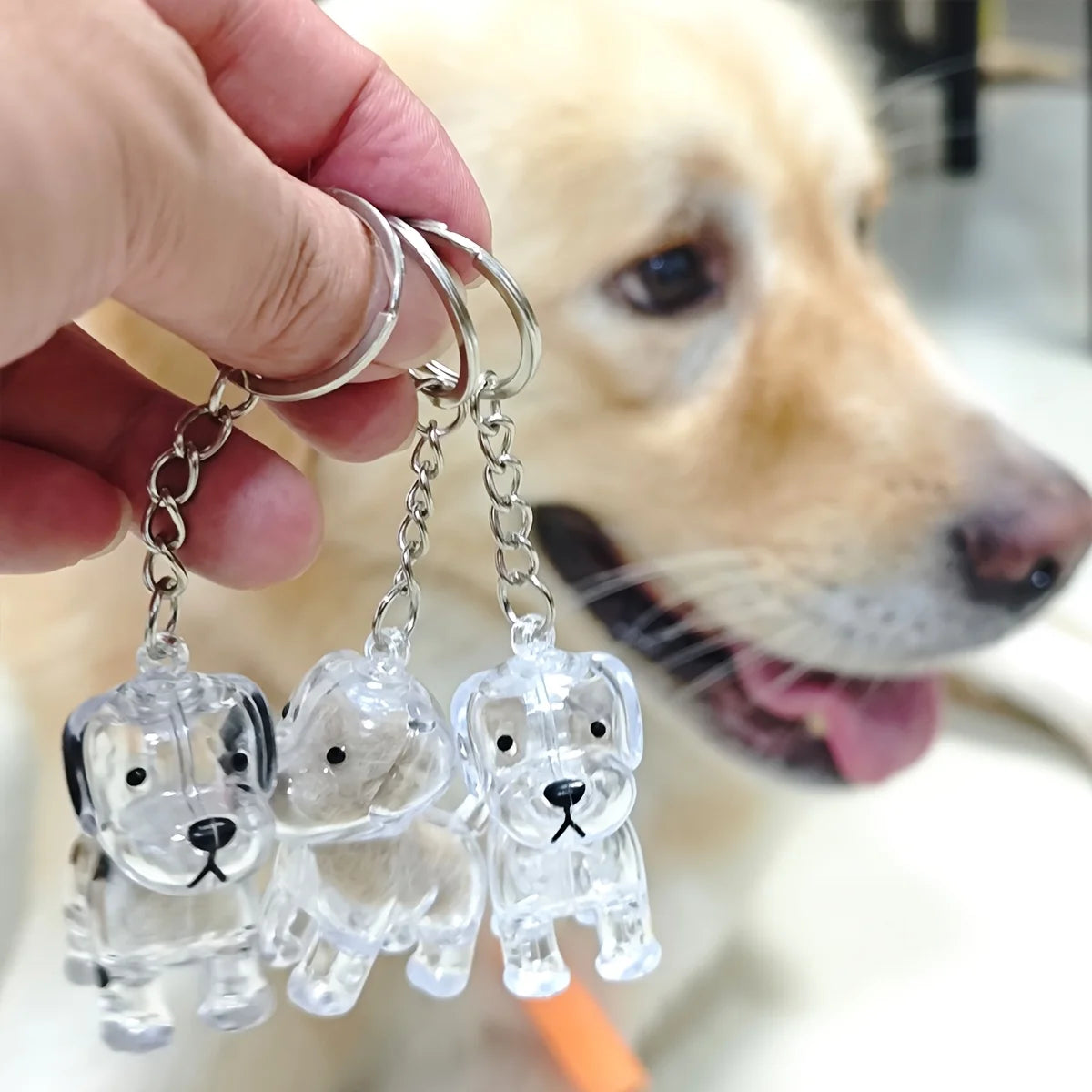 Transparent Dog Hair Storage Container Memorial Keychain