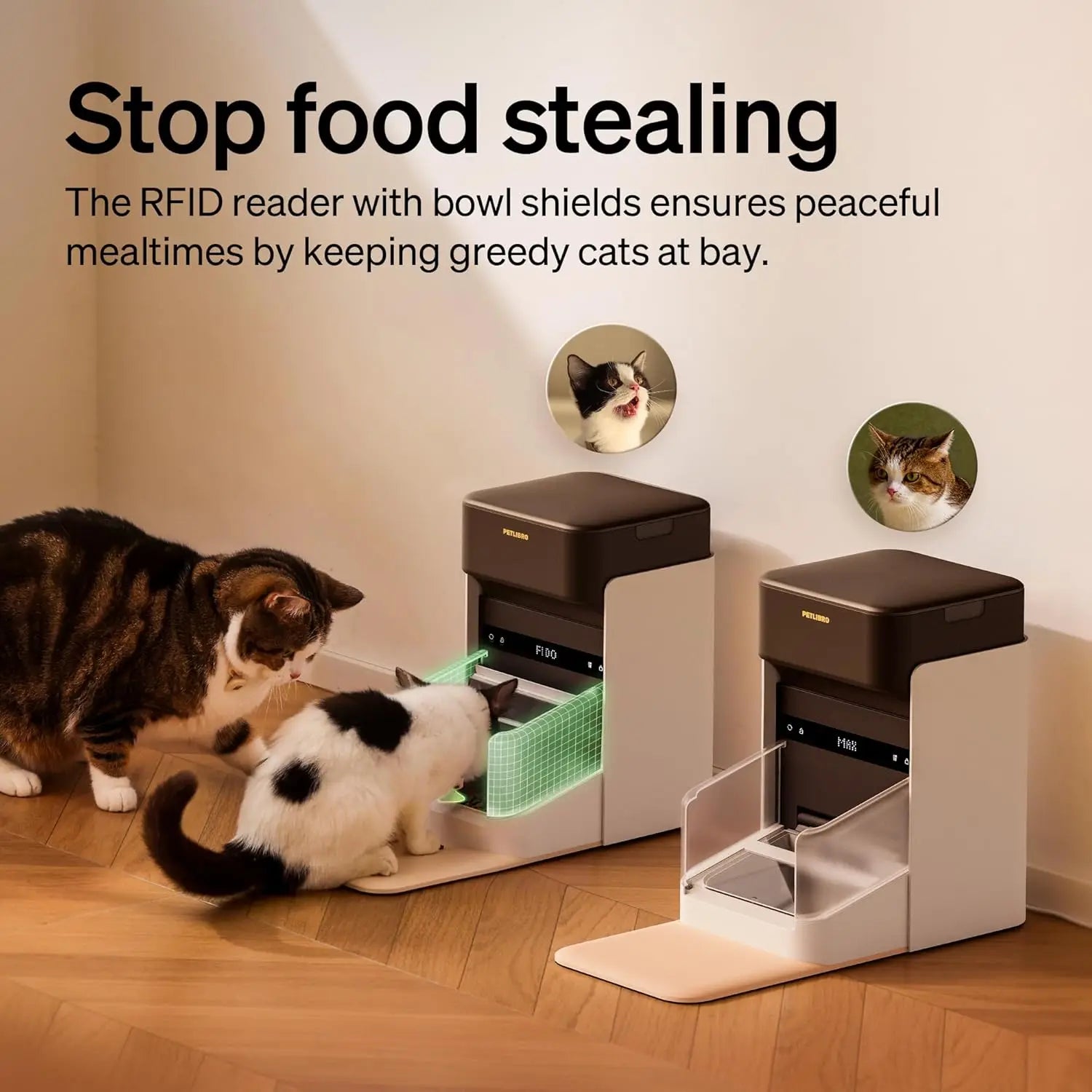 RFID Automatic Cat Feeder with Wi-Fi, Personalized Meals for Multi-Pet Homes and Diet Tracking