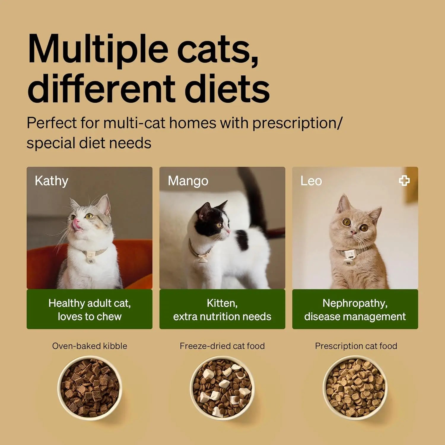 RFID Automatic Cat Feeder with Wi-Fi, Personalized Meals for Multi-Pet Homes and Diet Tracking