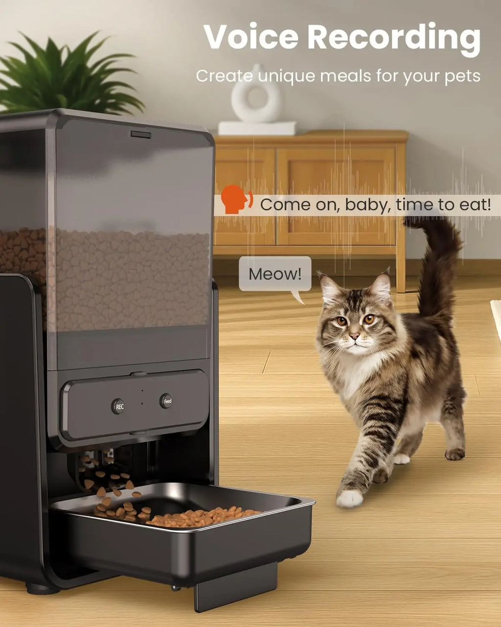 Automatic Cat Feeder with WiFi App Control, Dual Bowls for 2 Cats, Adjustable Height, Voice Record & Timed Dispenser