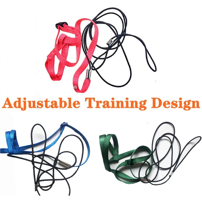 Parrot Bird Harness Leash Outdoor Activities Flying Traction Straps Band Flying Rope