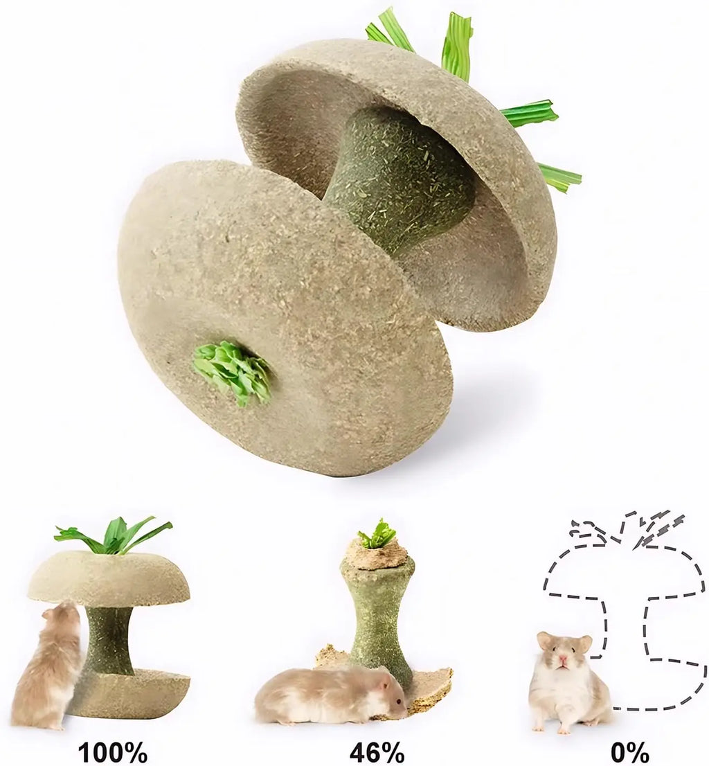 Apple Core Shaped Hamster Chew Toy - Natural Small Pet Dental Treat for Guinea Pig, Rabbit, Chinchilla, Rat