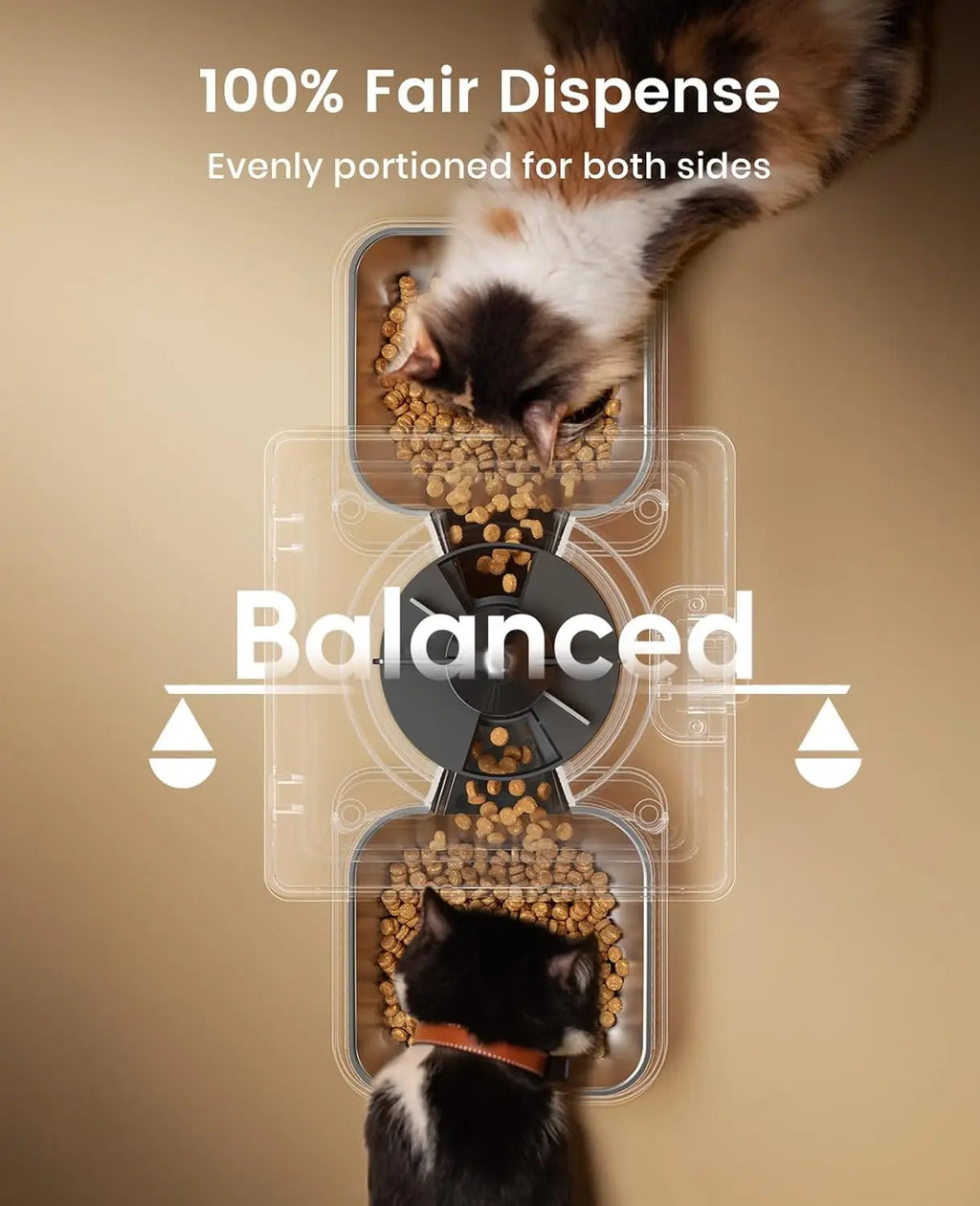 Automatic Cat Feeder for Two Cats, 5L Capacity with Timed Dispensing for Dry Food