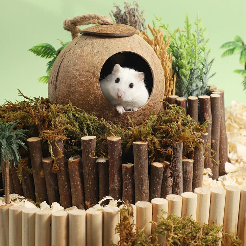 Hamster House Bite-resistant Natural Small Pet Coconut Cages Guinea-pig Hamster Hideout House Toy Wooden House