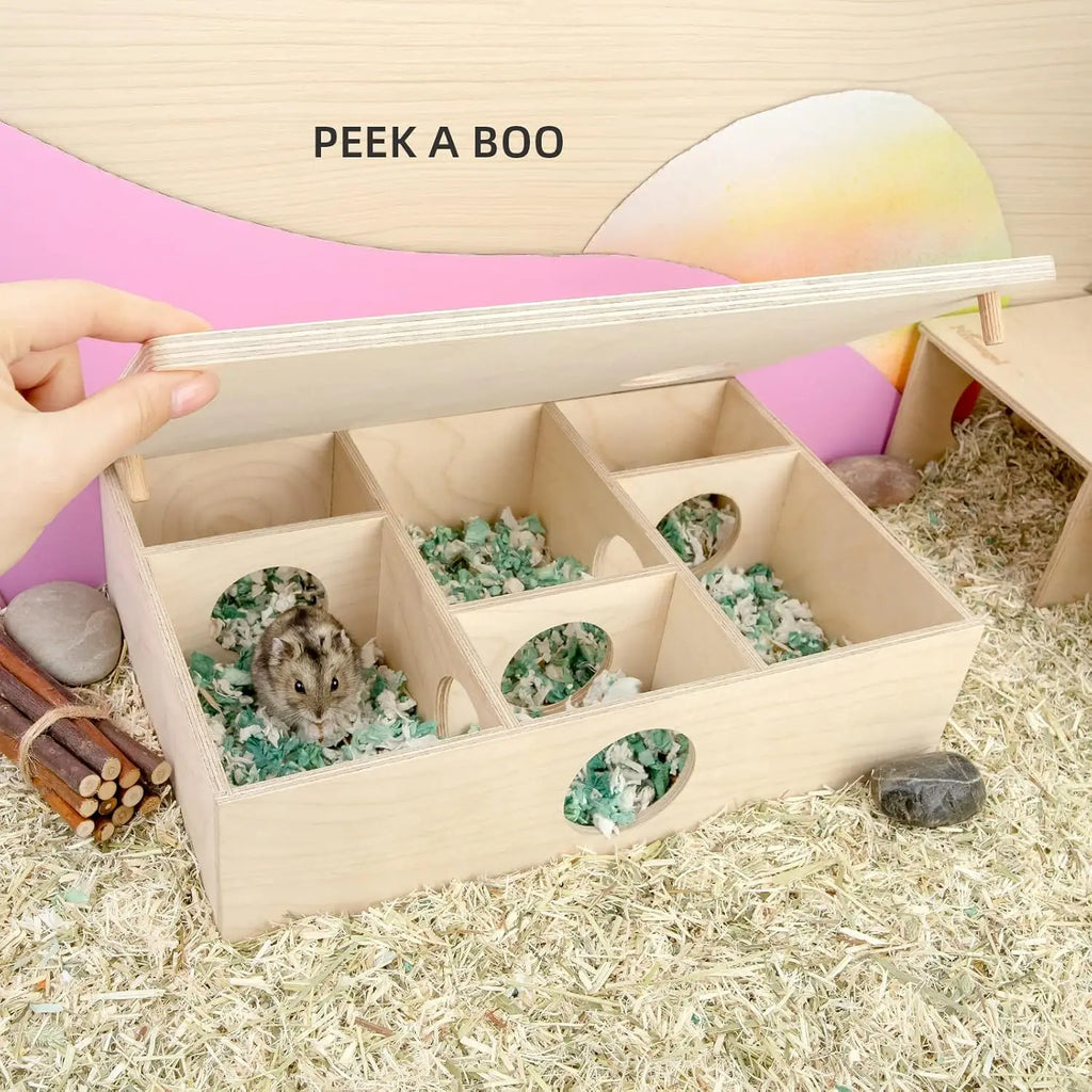 Multi-Chamber Hamster House Maze: - Multi-Room Hideouts & Tunnel Exploring Toys