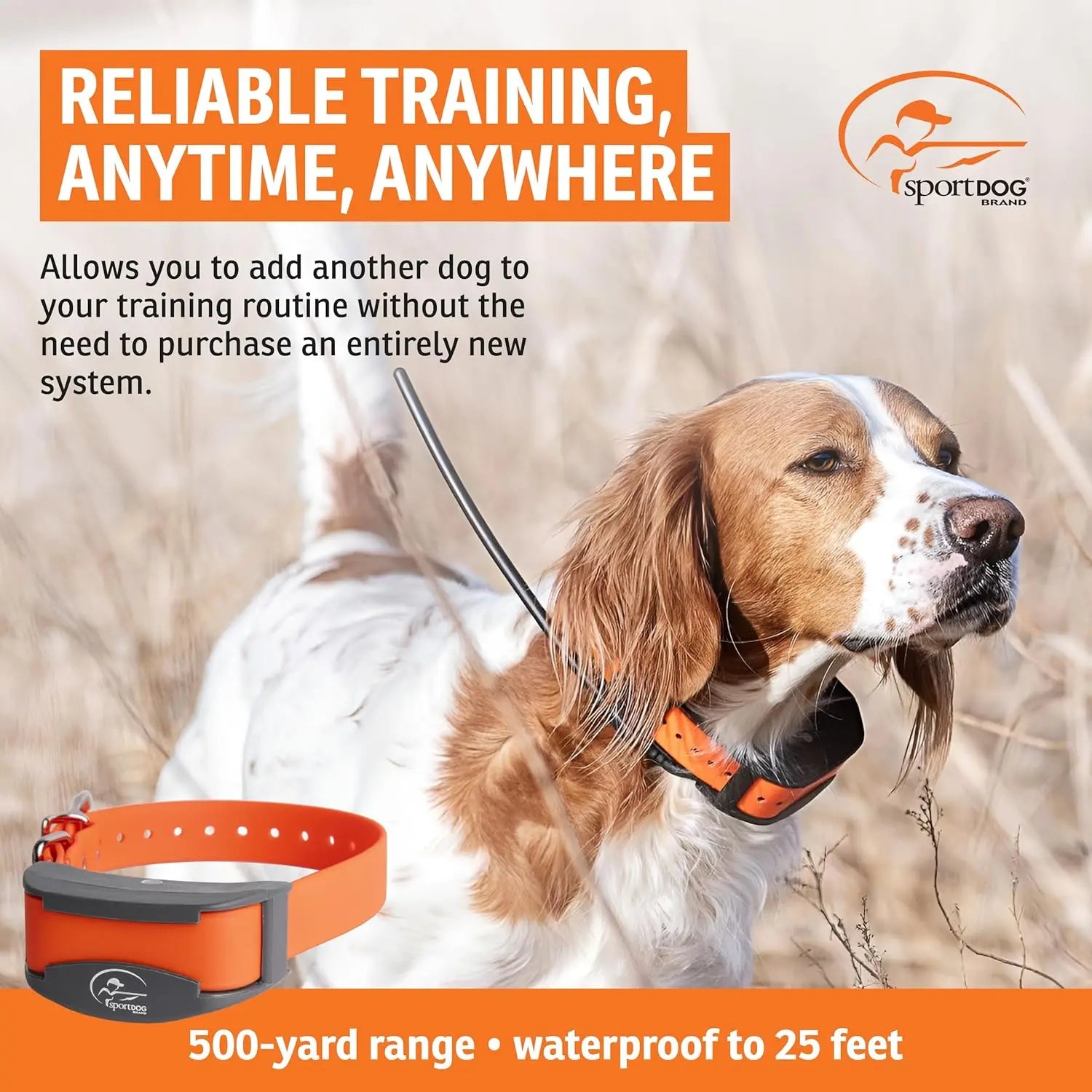 Waterproof Rechargeable Dog Training Collar for Multi-Dog Households