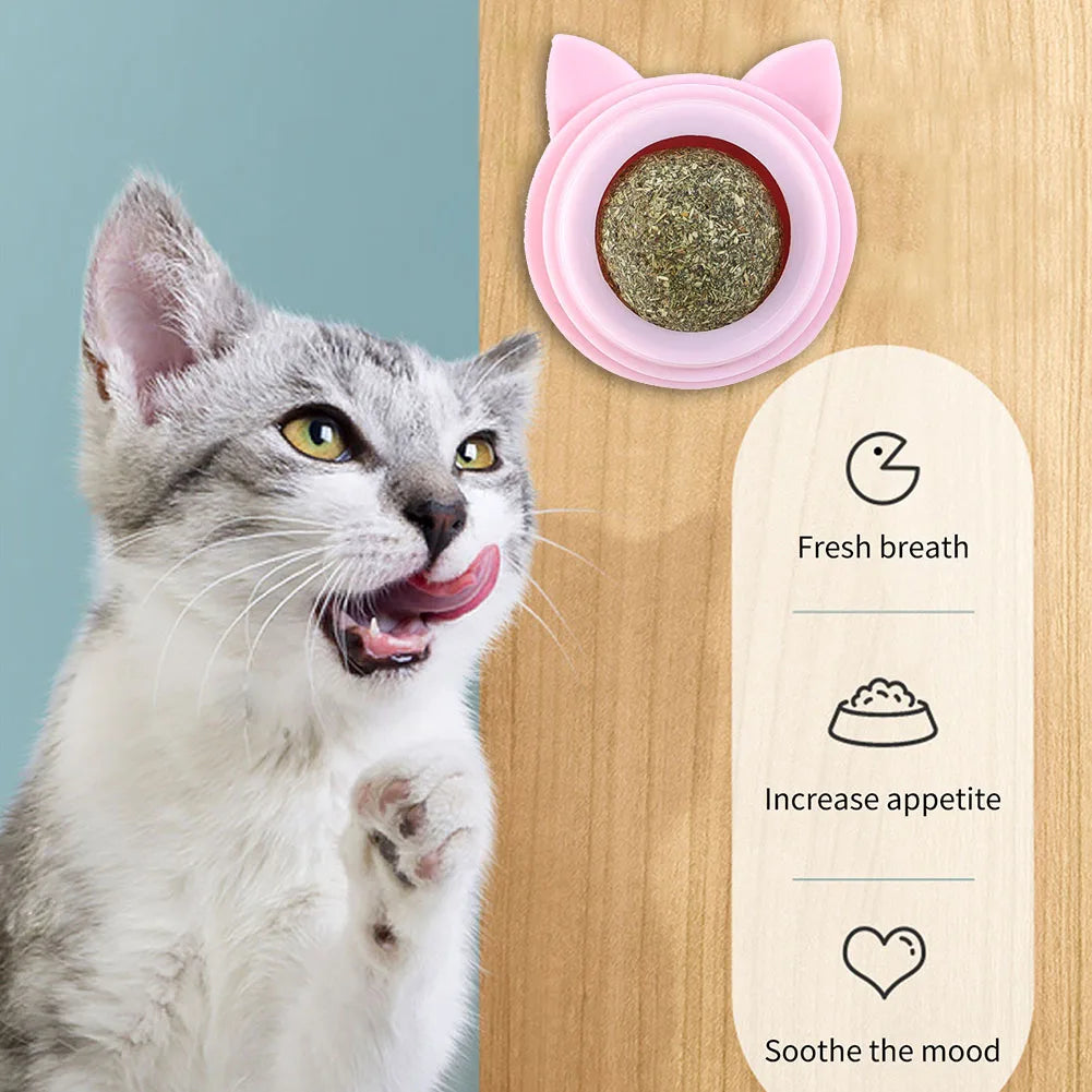 Rotatable Cat Cleaning Toy Self-Adhesive Catnip Wall Balls for Cats Teeth Cleaning
