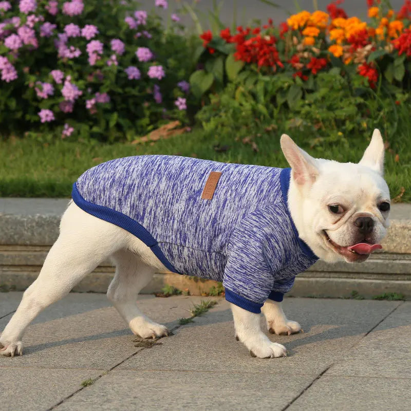 French Bulldog, Pug, Dog, Cat, Pet Clothes, Autumn and Winter Sweatshirts, Two-Legged Clothing