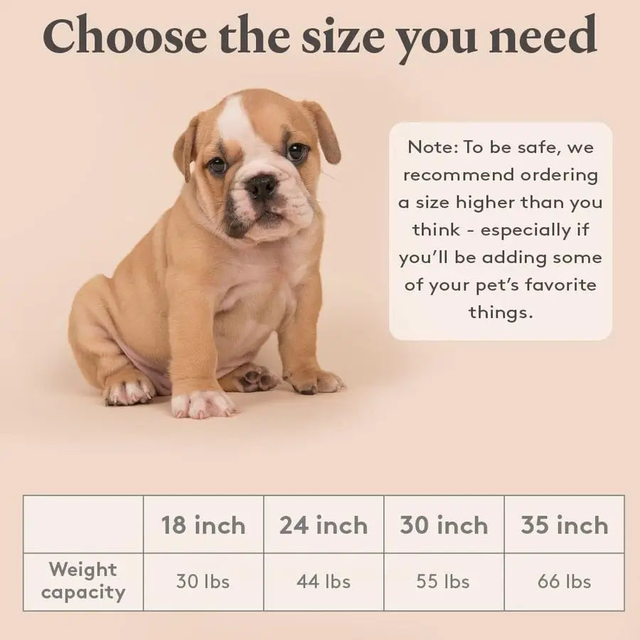 Casket, Wooden Pet Burial Box, 24 Loving Dog Memorial, Strong and Safe Pet Coffin, Dignified Dog Casket, Hinged Lid Cat Casket,