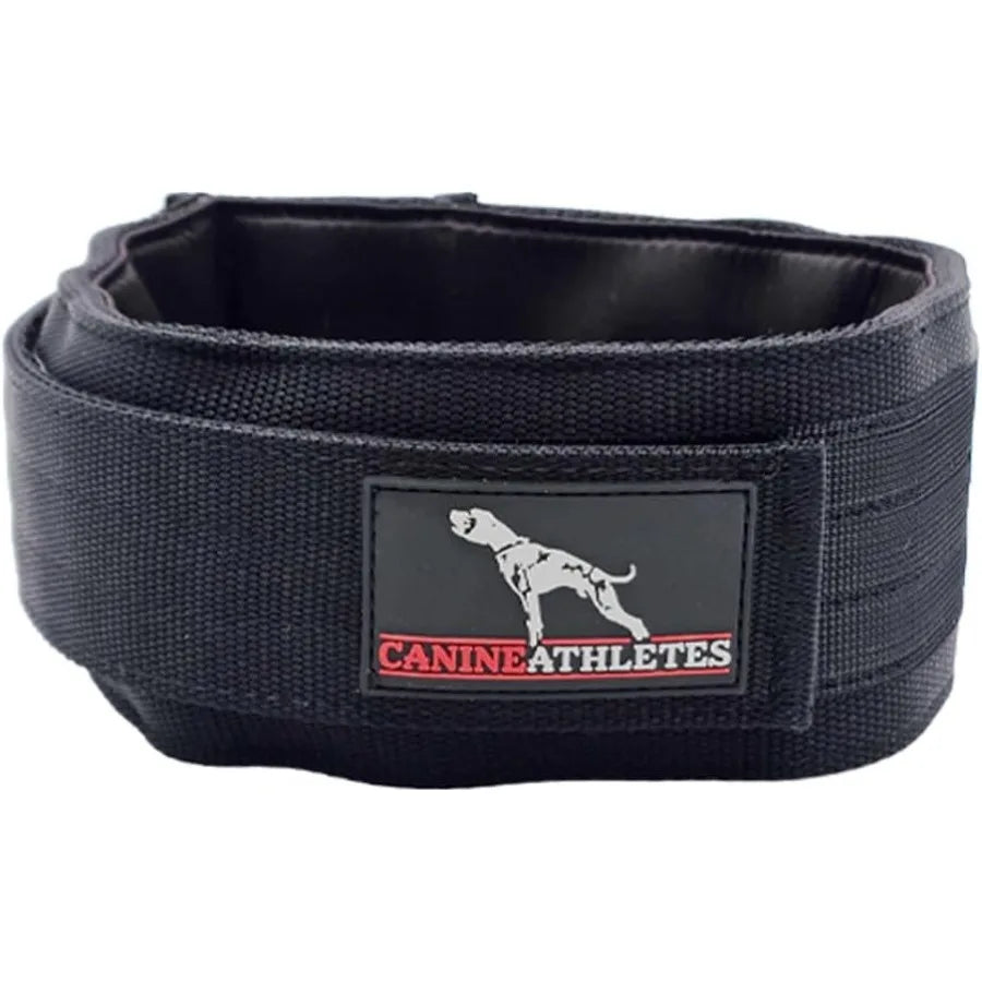 3 Elite-HD Weighted Working Dog Collar 3LB Black Designed Training and Behavioral Conditioning