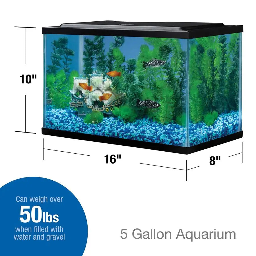 Glass Aquarium 5.5 Gallons, Rectangular Fish Tank