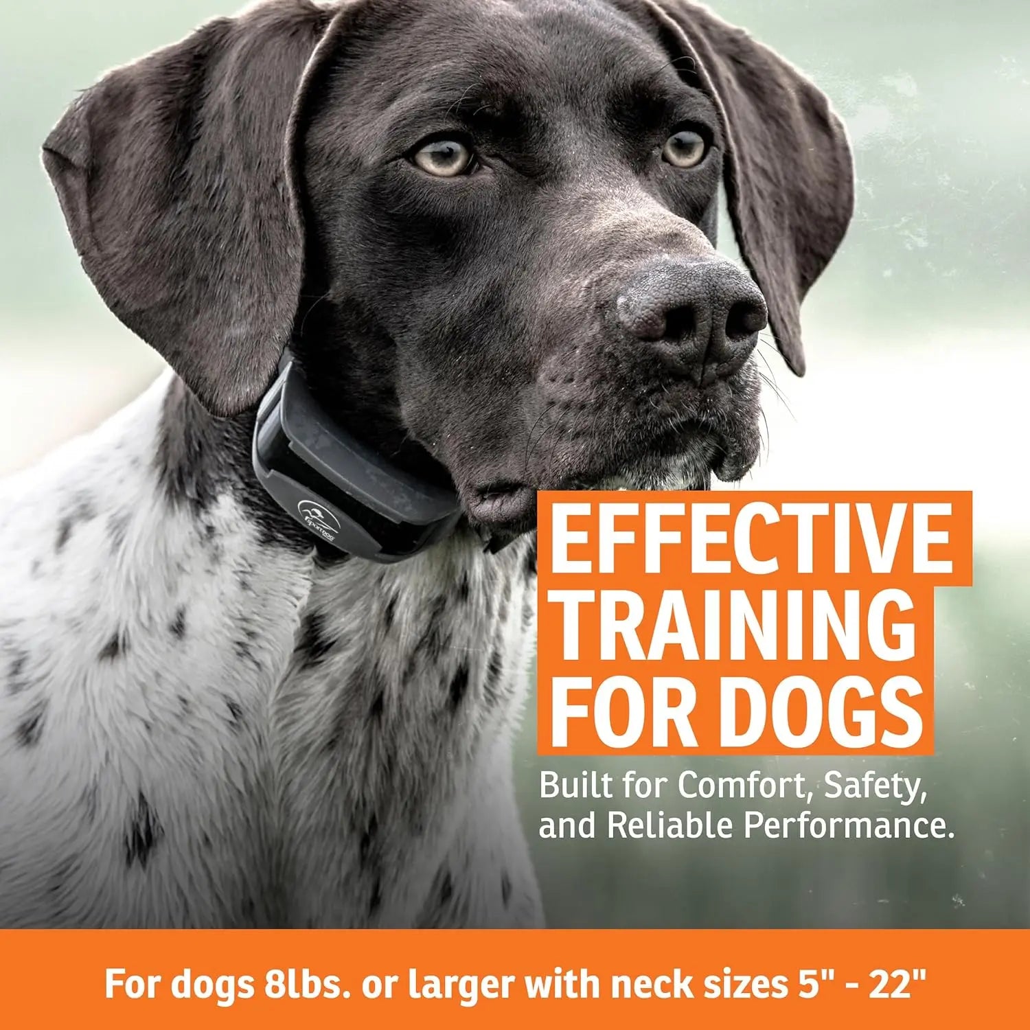 Waterproof Remote Dog Training Collar with Half-Mile Range, Static Vibration Tone Modes and Quick Charge