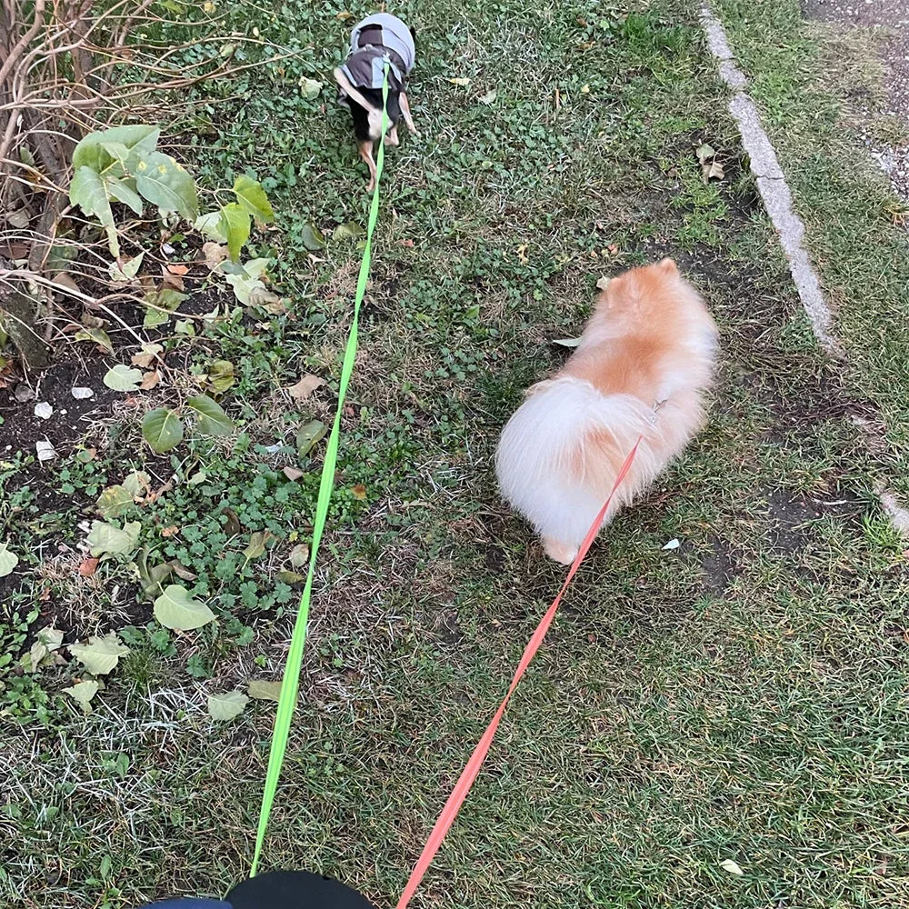 3m Dual Dog Leash With Flashlight Waste Bag Box Double-Ended Traction Rope Dogs Strap Auto Retractable