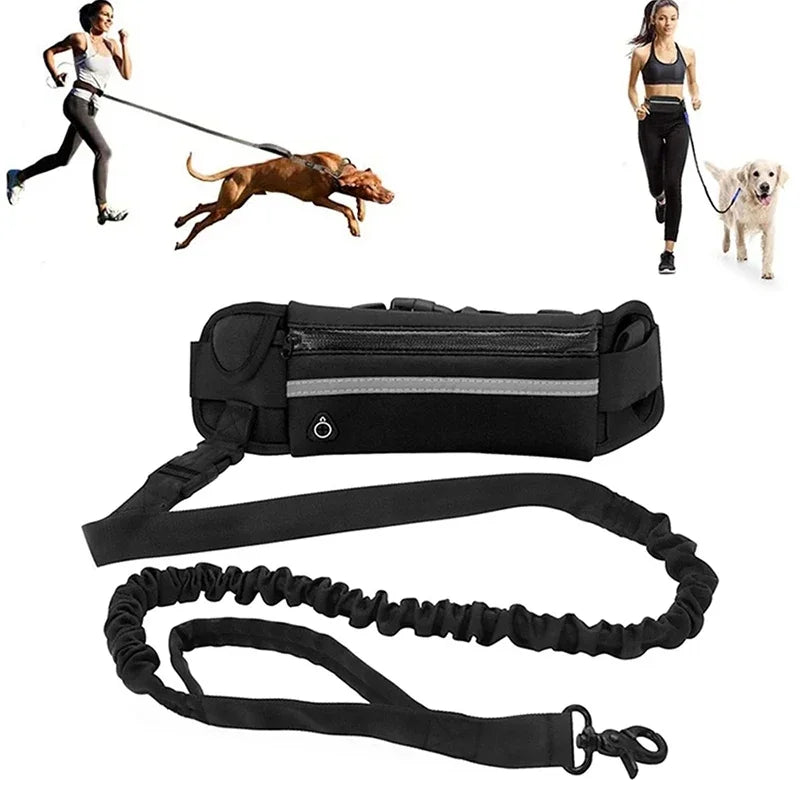 Hands Free Dog Leash for Running Walking Reflective Leash with Waist Bag Retractable Elastic Belt Dog Traction Rope